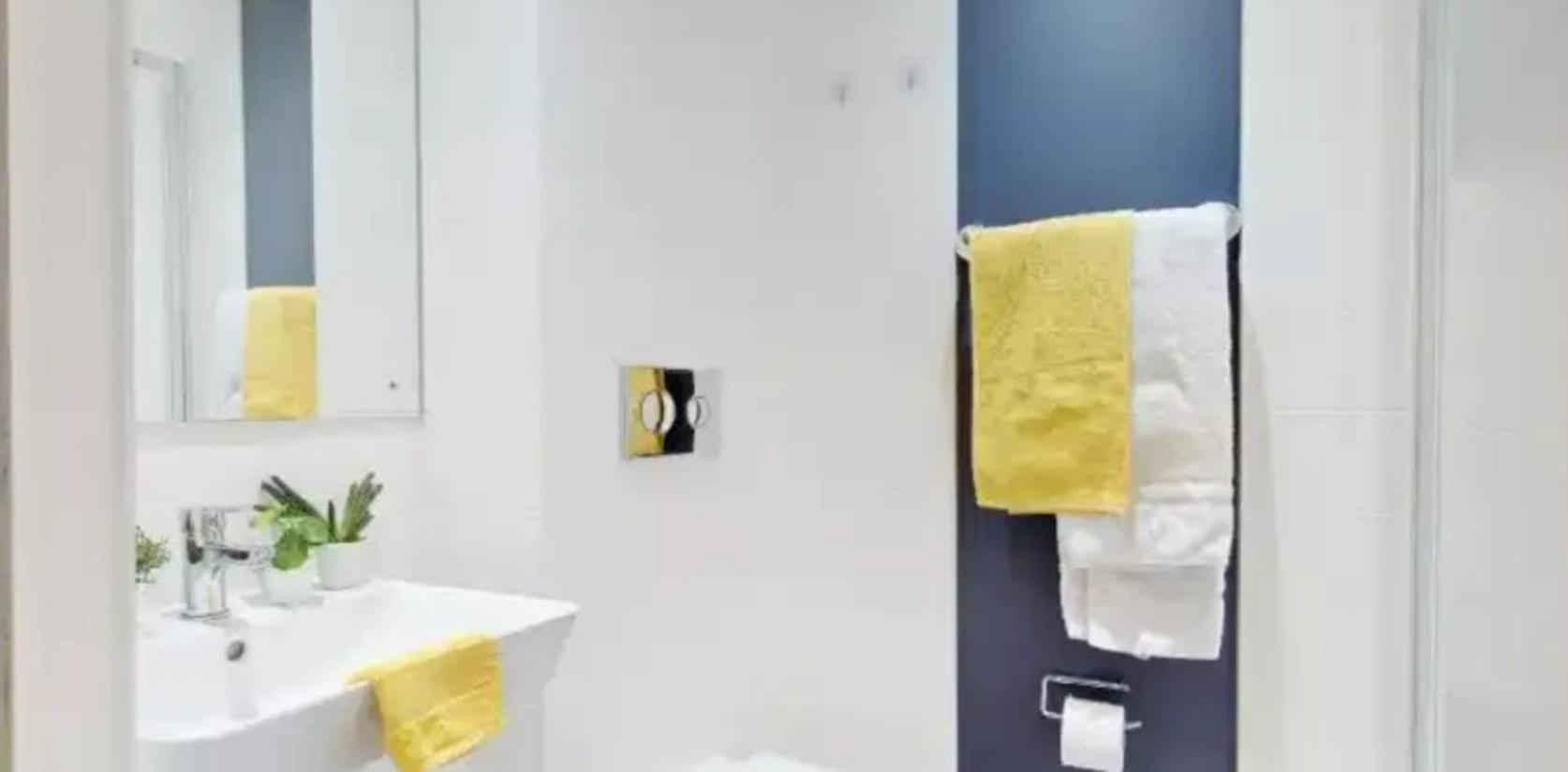 Apartment Student Only Silver Ensuite At Iq Vega London